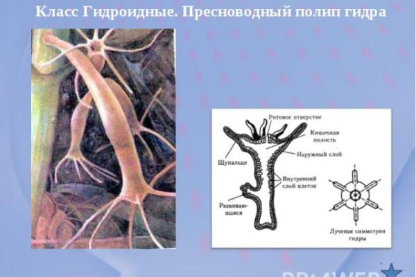 Как пополнять кракен тор