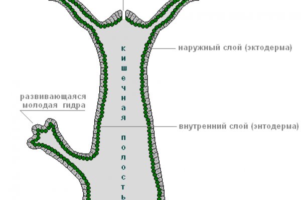 Ссылка на кракен площадка