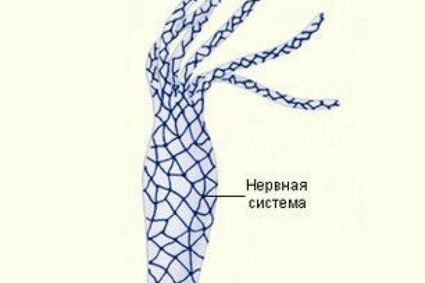 Кракен ссылка в тор
